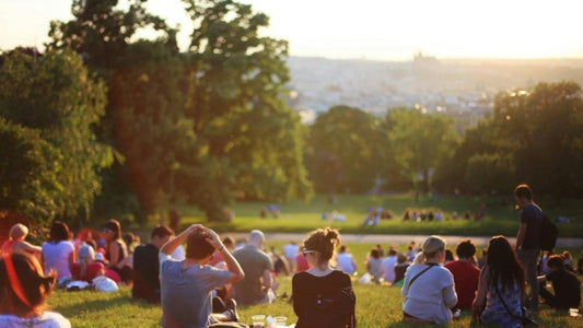 EDUCATING BEYOND THE CLASSROOM: THE FORGOTTEN ROLE OF COMMUNITY IN HIGHER ED